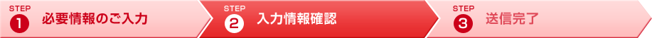入力情報確認