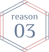 reason03